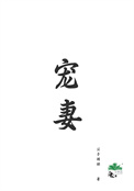 宠妻电视剧