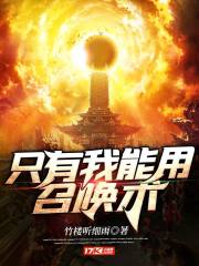 只有我能召唤 小说
